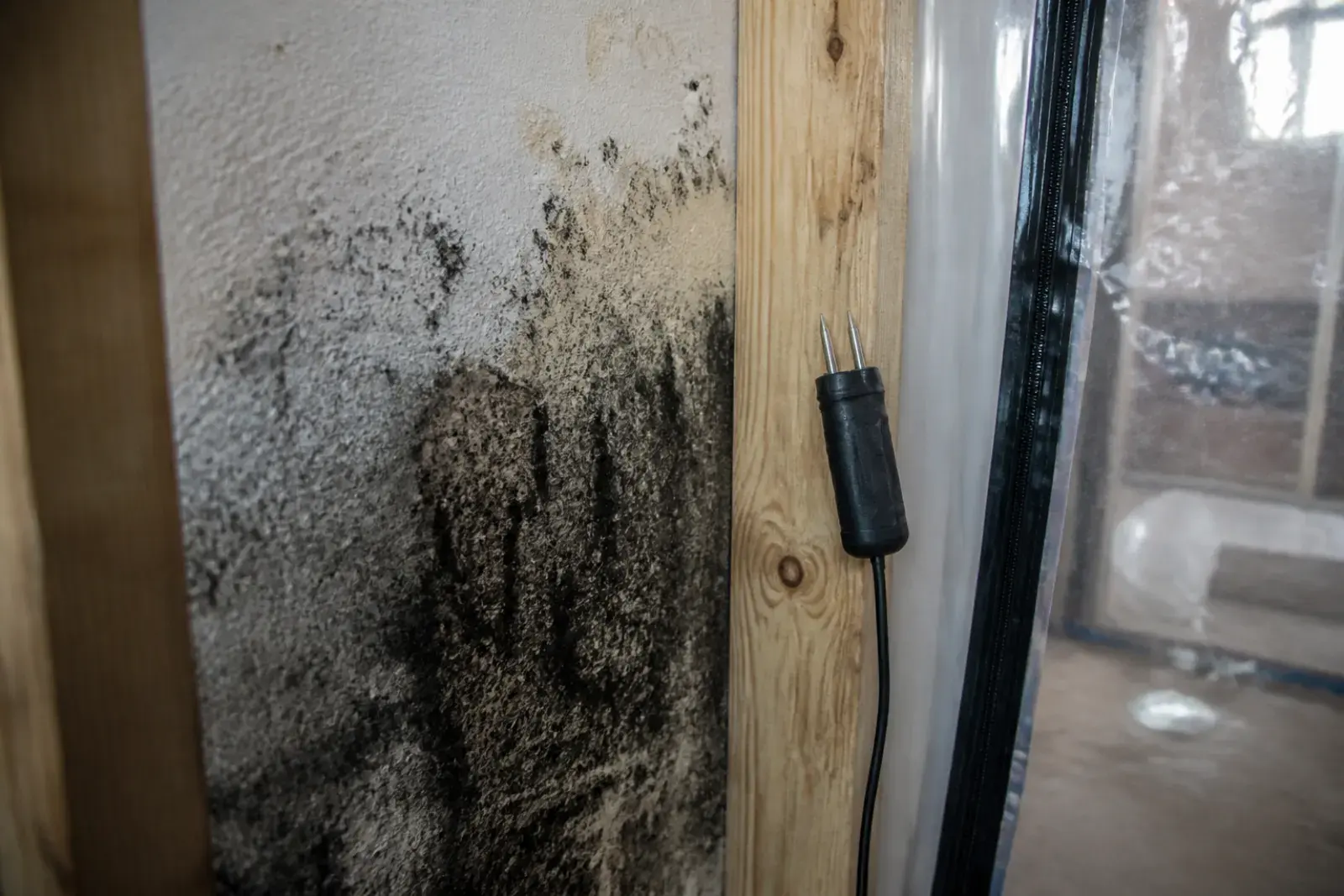 Mold staining on the back of drywall in a crawlspace with a moisture meter on the stud